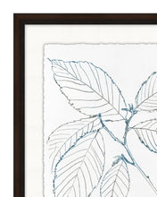 Load image into Gallery viewer, Blue Leaf Sketch 2