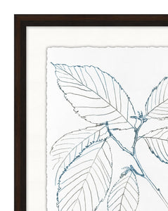 Blue Leaf Sketch 2